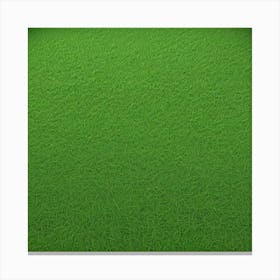 Green Grass 5 Canvas Print