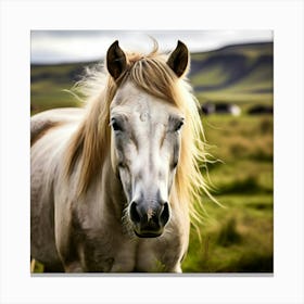 Grass Mane Head Equestrian Horse Rural White Iceland Nature Brown Field Mammal Pony Wil (2) 2 Canvas Print