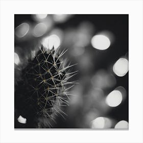 Cactus black and white Canvas Print