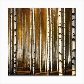 Birch Forest 28 Canvas Print