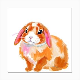 Holland Lop Rabbit 01 Canvas Print