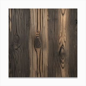 Wood Stock Videos & Royalty-Free Footage 4 Canvas Print