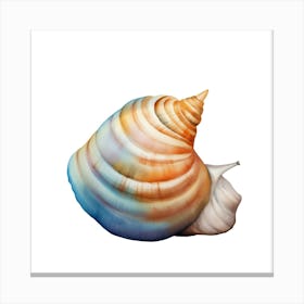 Seashell Canvas Print