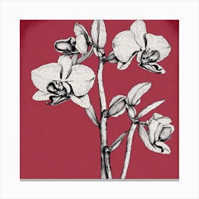 Orchids On A Red Background Canvas Print