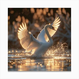 White Swan 1 Canvas Print