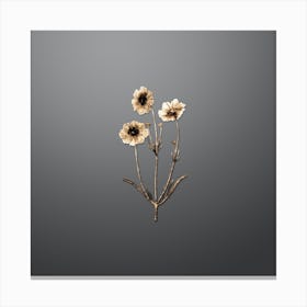 Gold Botanical Perennial Dyer's Coreopsis Flower on Soft Gray n.4646 Canvas Print