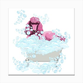 Pink Poodlle in the tub Canvas Print