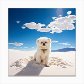 White Sand Dog 1 Canvas Print