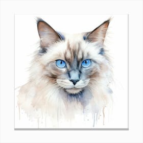 Neva Masquerade Cat Portrait 1 Canvas Print