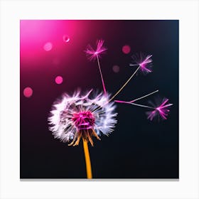 Floating Pink Dandelion Seeds Canvas Print