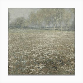 Field Of Daisies 3 Canvas Print