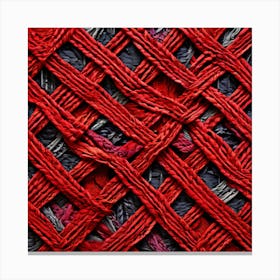 Red Weave art print Canvas Print