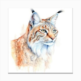 Balkan Lynx Cat Portrait 1 Canvas Print