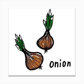 Onion Canvas Print