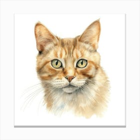 Mekong Bobtail Cat Portrait 2 Canvas Print