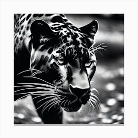 Jaguar 9 Canvas Print