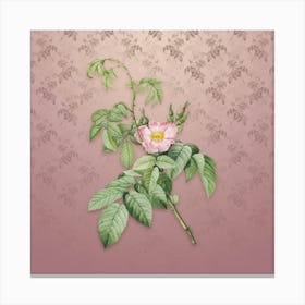 Vintage Apple Rose Botanical on Dusty Pink Pattern n.2007 Canvas Print