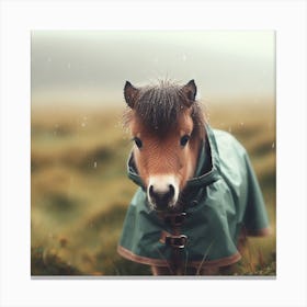 Little Pony In Raincoat Canvas Print