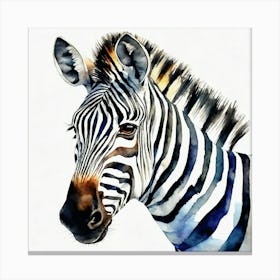 Zebra Watercolor Canvas Print