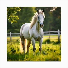 Grass Mane Head Graze Equestrian Pasture Elegant Sun Beauty Horse Standing Rural Green Canvas Print