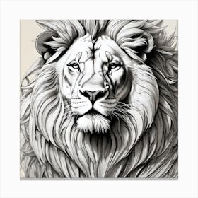 Lion Drawing 1 Canvas Print