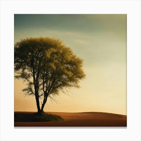 Lone Tree 2 Canvas Print