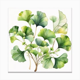 Tropical leaves of ginkgo biloba 6 Canvas Print