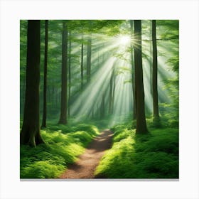 Path Through The Forest 1 Canvas Print