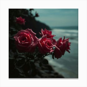 Roses On The Beach 12 Canvas Print