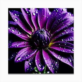 Purple Flower With Water Droplets 3 Canvas Print