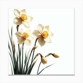 Flowers of Narcissus 2 Canvas Print