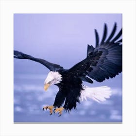 Bald Eagle Canvas Print