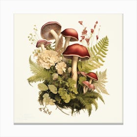 Russulas in the undergrowth - mushroom art print - mushroom botanical print Canvas Print