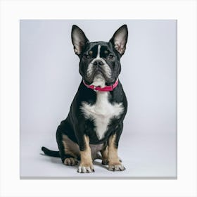 Portrait Of A French Bulldog Canvas Print