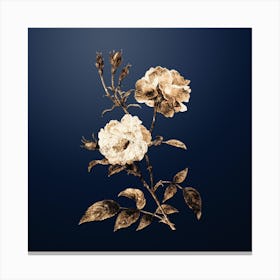 Gold Botanical Ever Blowing Rose on Midnight Navy n.2379 Canvas Print