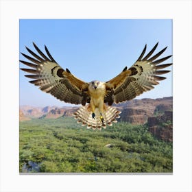 Hawk In Flight Canvas Print