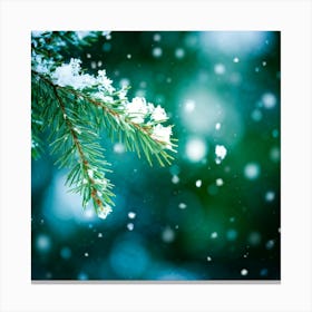 Evergreen Branch Adorned With Sparkling Snowflakes Catching The Light Shimmering Positioned Cent (5) Canvas Print