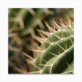 Cactus 3 Canvas Print