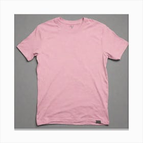 Pink Tee Shirt Canvas Print