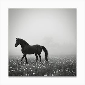 Black Horse In A Foggy Field 2 Canvas Print