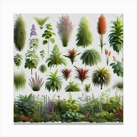 A Plethra of Pictures of Plants, Potted and Otherwise, Including Flowers, Grasses, and Trees, All Rendered with Exquisite Detail and Lifelike Color Canvas Print