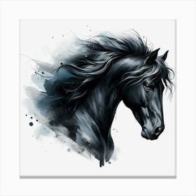 Black Horse 1 Canvas Print