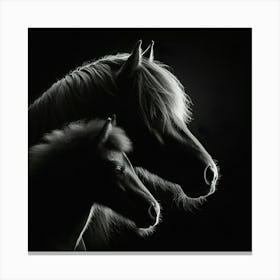 Horse And Foal Canvas Print