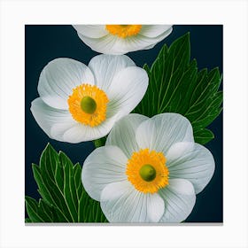 White Anemones Canvas Print