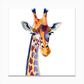 Southern Giraffe 01 Canvas Print