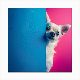 Chihuahua peeks out Canvas Print