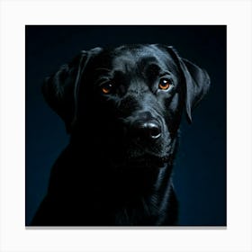 Black Labrador Retriever Portrait Toile