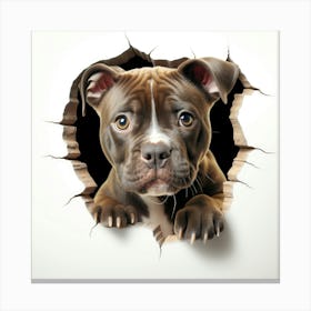 Dog Peeking Through A Hole 4 Canvas Print