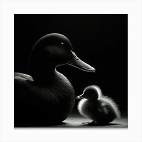 Duck And Duckling 2 Canvas Print