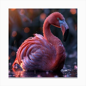 Flamingo 69 Canvas Print